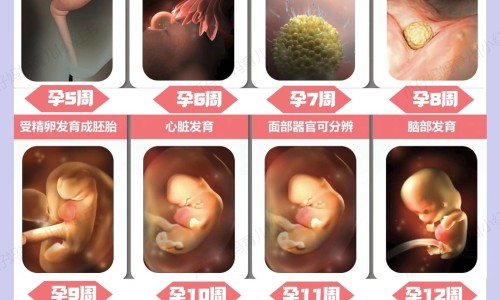 脑血栓病人吃钙片-专业脑血栓可以吃什么补品平台-脑血栓可以吃什么补品