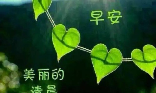 脑血栓病人吃钙片好不好-脑血栓病人吃钙片-专业脑血栓可以吃什么补品平台-脑血栓可以吃什么补品