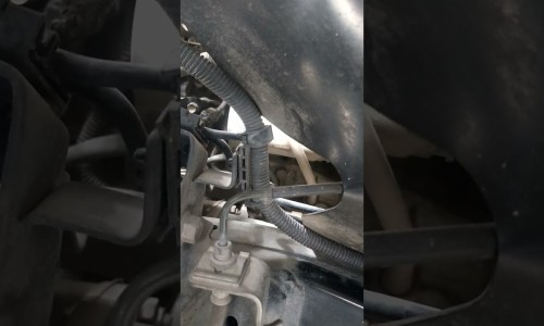 脑血栓能不能吃钙片补钙-脑血栓病人吃钙片-专业脑血栓可以吃什么补品平台-脑血栓可以吃什么补品